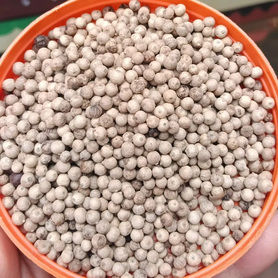 White Pepper